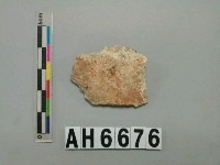 藏品(人頭蓋骨)的圖片